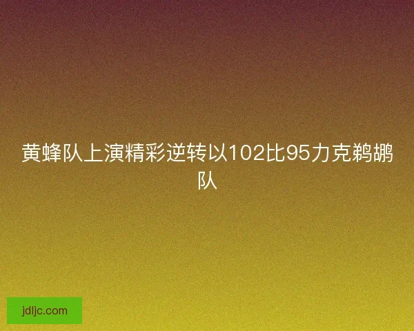 黄蜂队上演精彩逆转以102比95力克鹈鹕队
